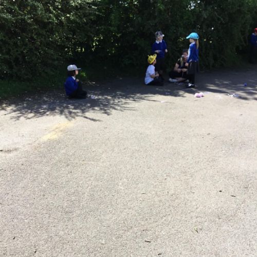 IMG_6508.jpeg
